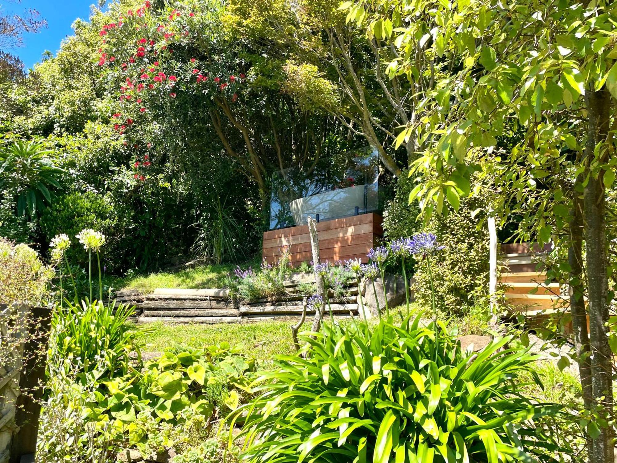 The Cove Cabin - Your Quiet Escape Dunedin Exterior photo